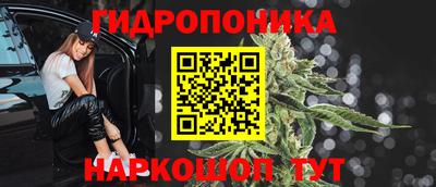 прущие грибы Пыть-Ях
