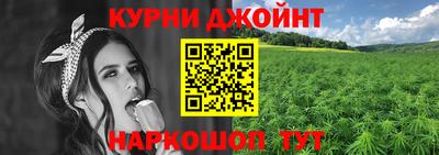 прущие грибы Пыть-Ях