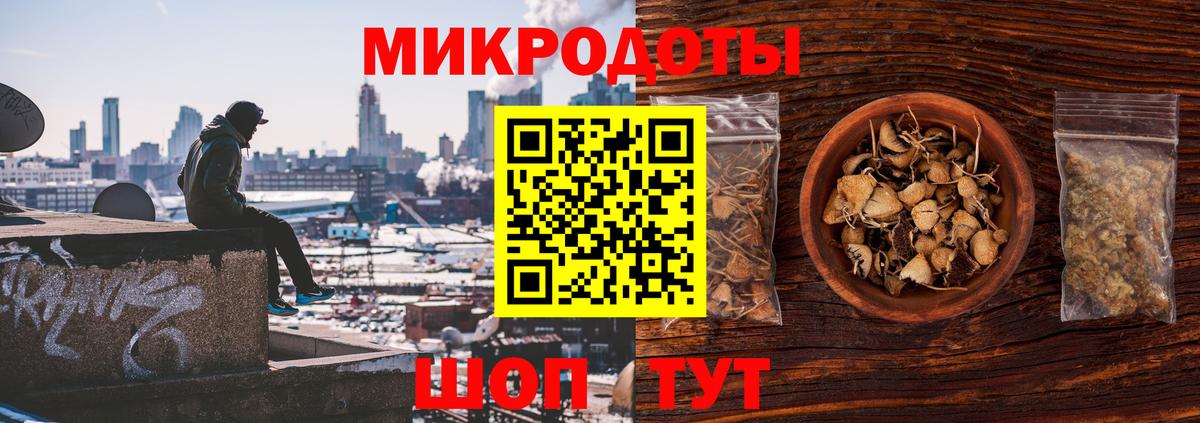 Псилоцибиновые грибы GOLDEN TEACHER Рославль